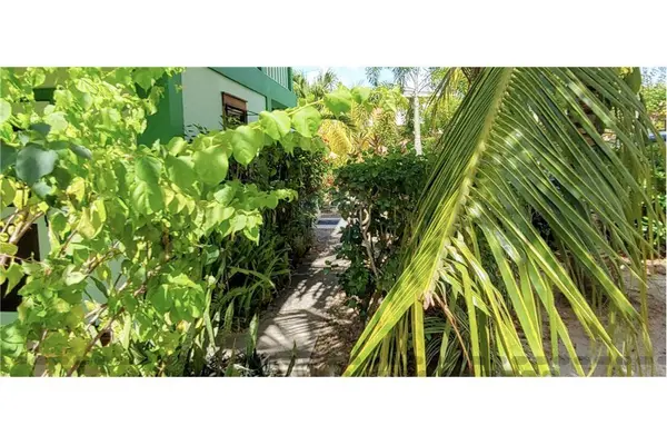 Placencia, Stann Creek District,