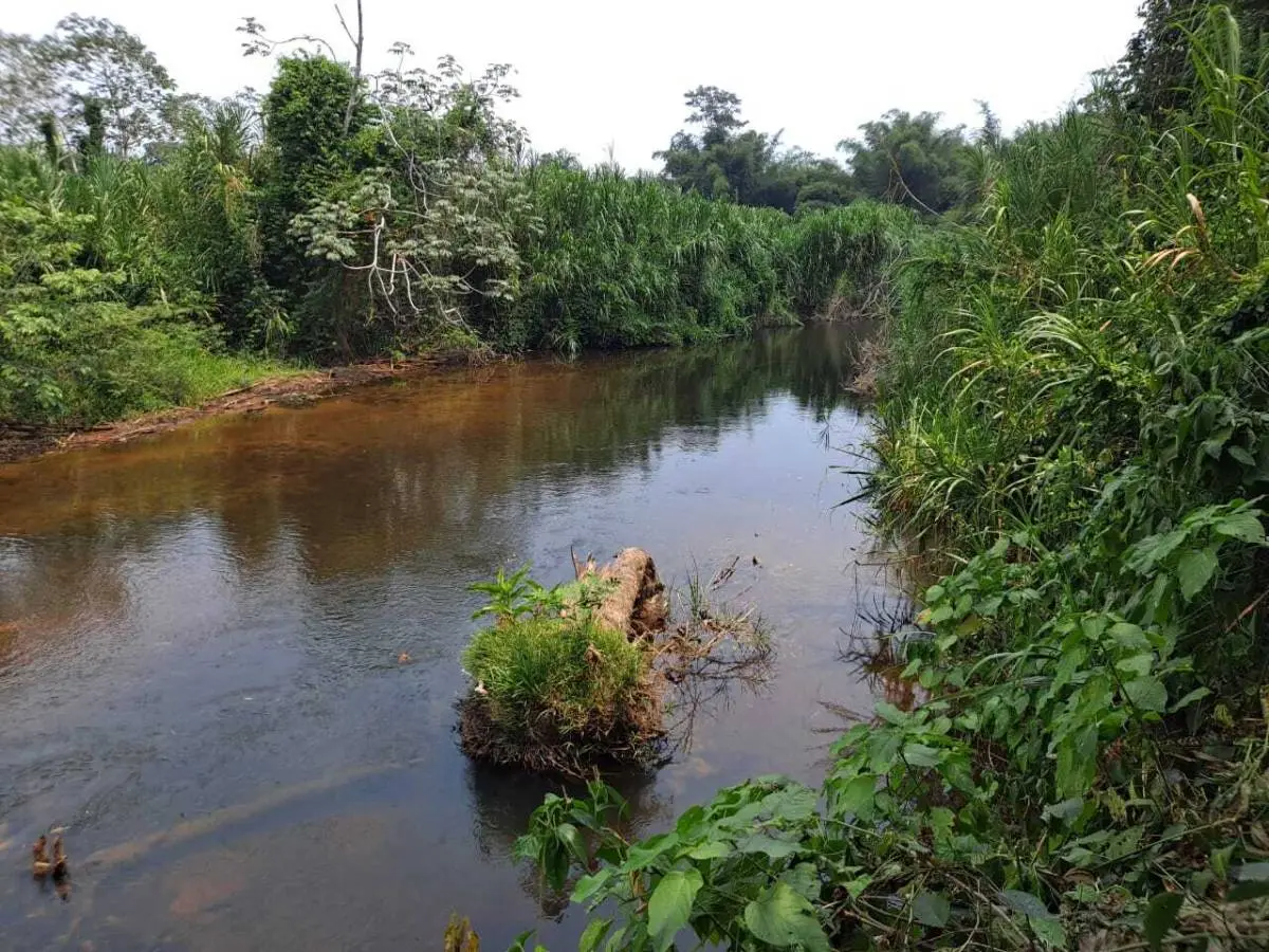 Dangriga, Stann Creek,