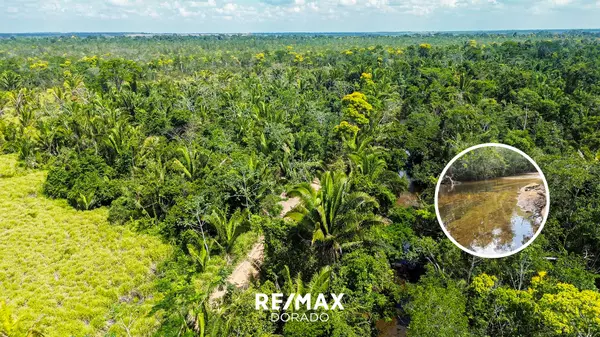 Cayo District,,Indian Creek Area