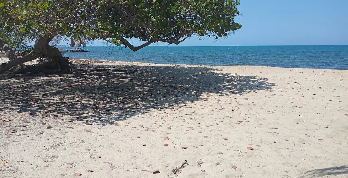 Placencia