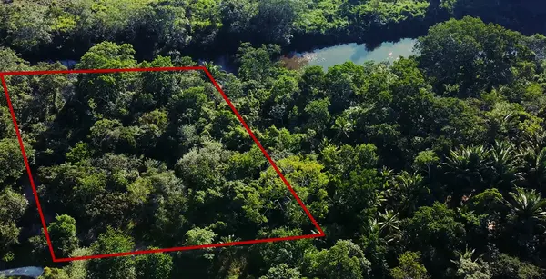 Cayo District