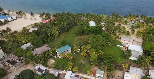 Placencia