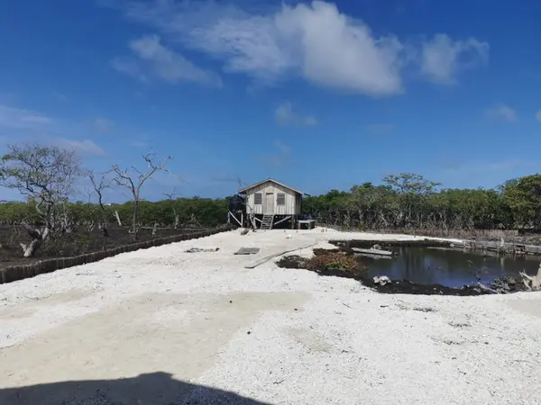 Northeast Caye – 8 Miles from Mainland