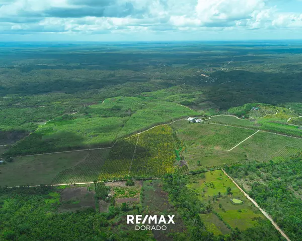 Cayo District,,Teakettle