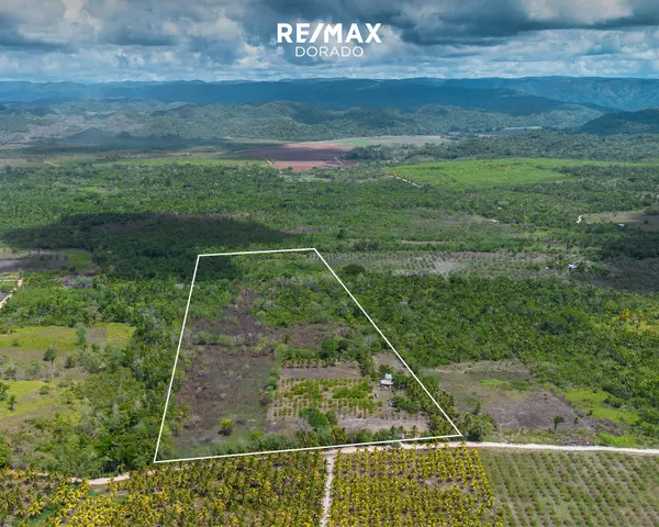 Cayo District,,Teakettle