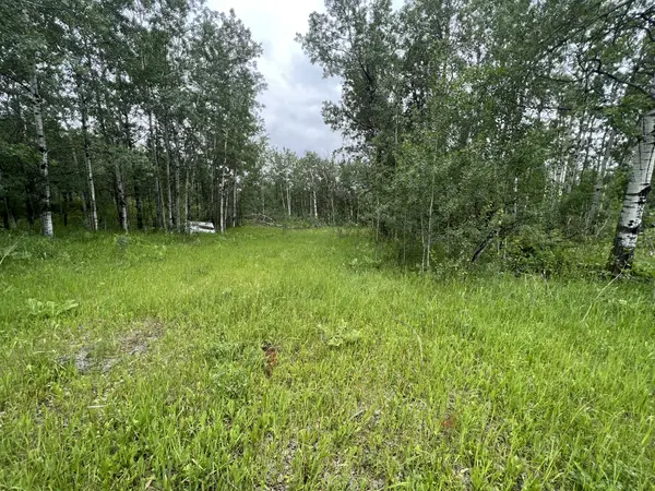 51224 Range Road 221, Strathcona County, AB T8E 1G8