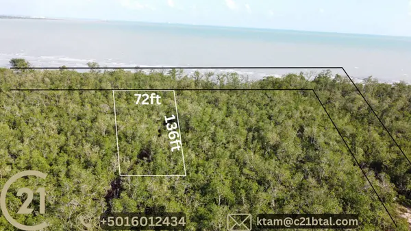 4 1/2 George Price highway 67, Belize City,