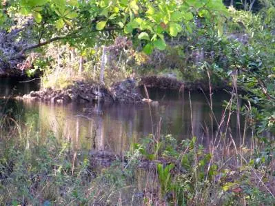 Belize District, Belize District Belize,
