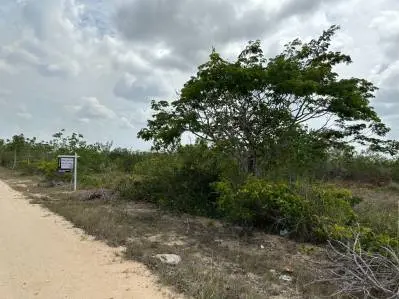 Burrell Boom, Belize District Land,