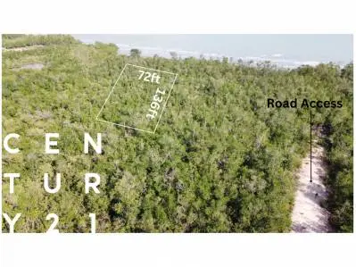 4 1/2 George Price highway 67, Belize City,