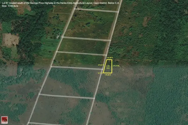 Off Mile 38 George Price Highway, St. Matthews Village, Belize