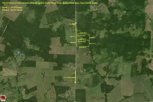 Roberson Road, Near Spanish Lookout,