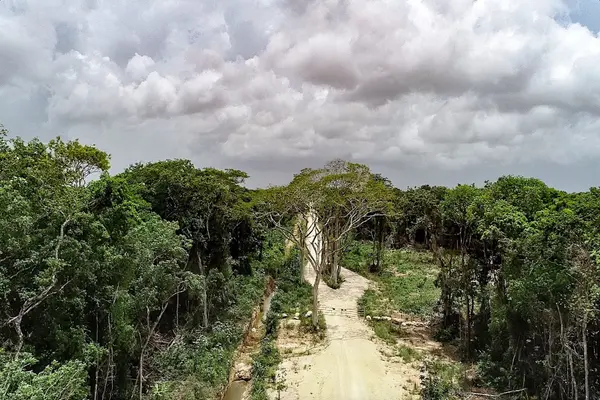 Balam Jungle Estates, Southeastern Corozal,