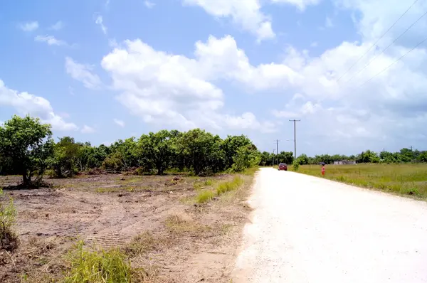 Subdivision along Boom-Hattieville Road, Burrell Boom,