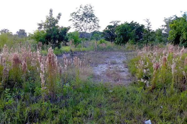 Phillip Goldson Highway heading to Mexico Border