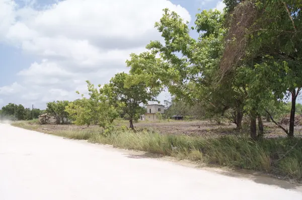 Subdivision along Boom-Hattieville Road, Burrell Boom,