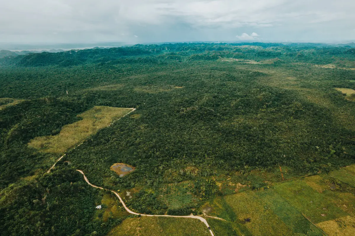 Near Bird Walk, St. Margaret's Agricultural Layout, Belize
