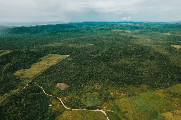 Near Bird Walk, St. Margaret's Agricultural Layout, Belize