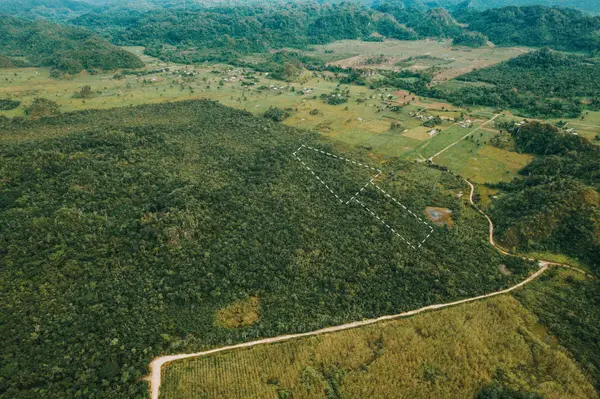 Near Bird Walk, St. Margaret's Agricultural Layout, Belize
