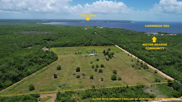 Consejo, Corozal,