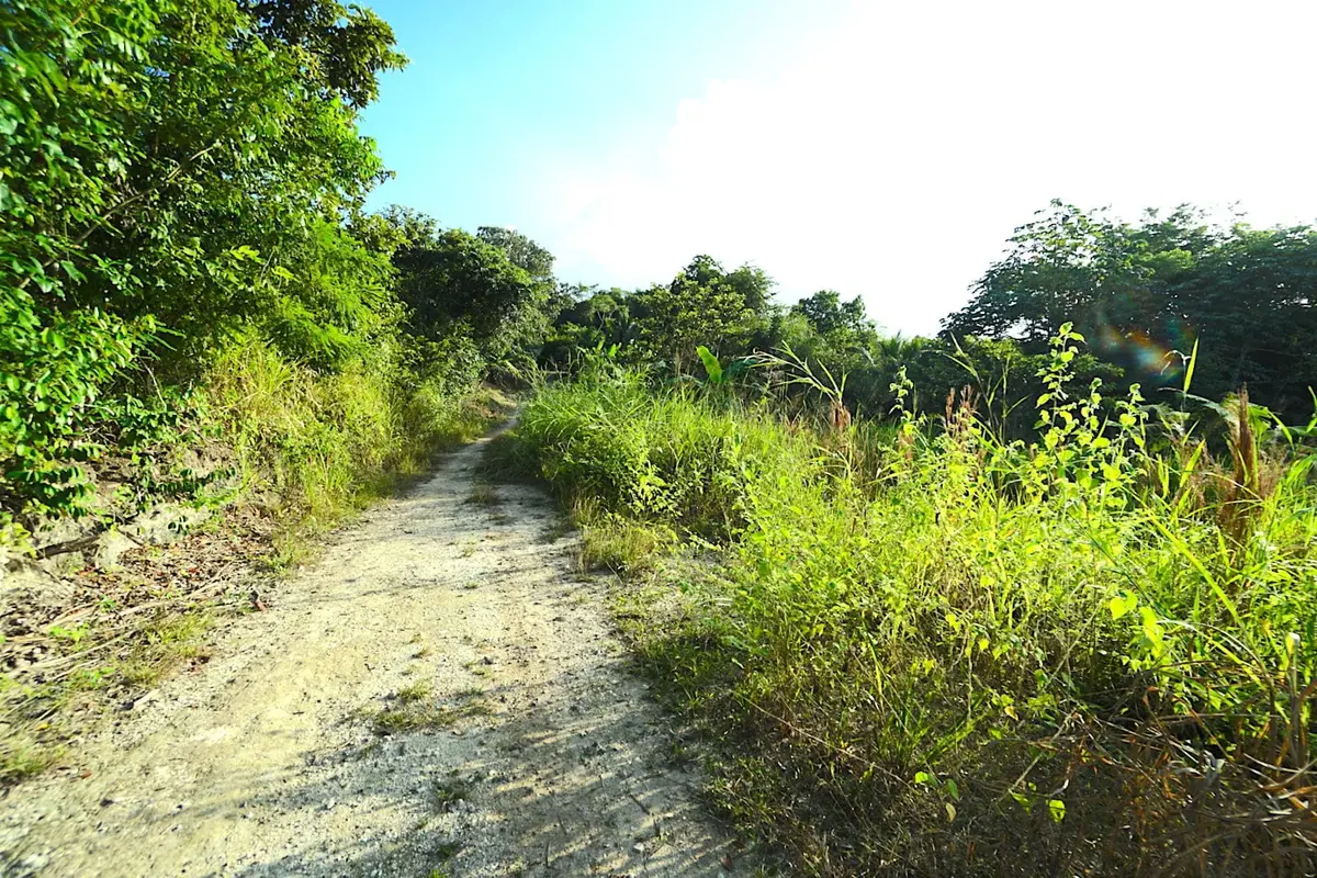 San Ignacio, Cayo,