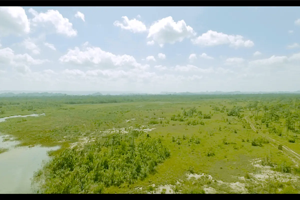Southwest of Sapodilla Lagoon, Belize,