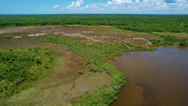 Four Mile Lagoon Area, Corozal,