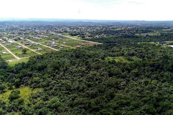 Piccini, Belmopan,