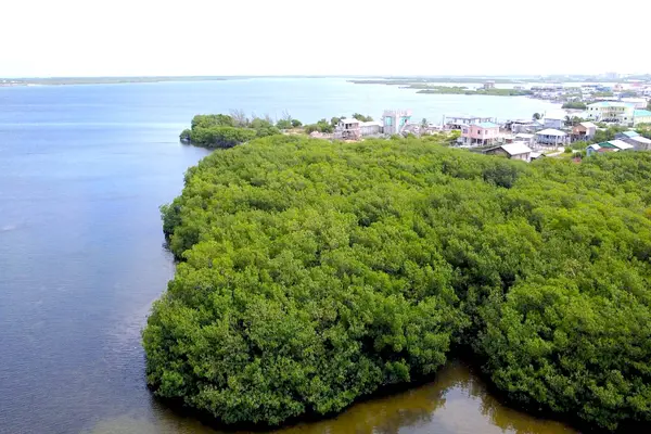 North of Rio De San Pedro', San Pedro,
