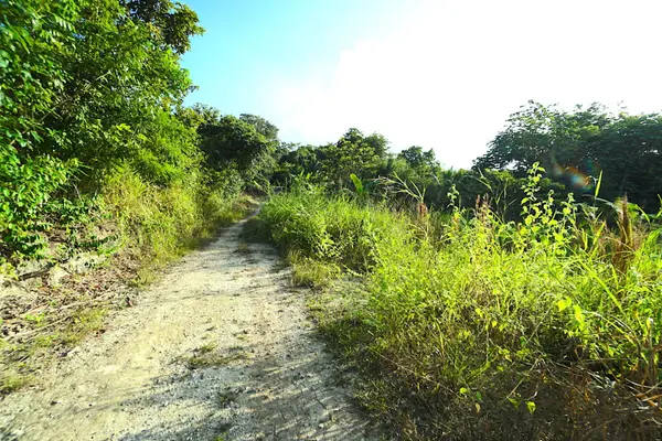 San Ignacio, Cayo,