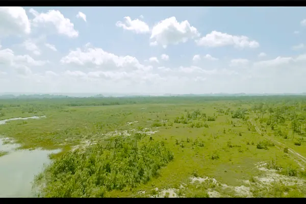 Southwest of Sapodilla Lagoon, Belize,