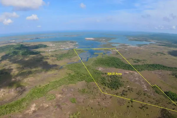 Manatee Area, Gales Point,