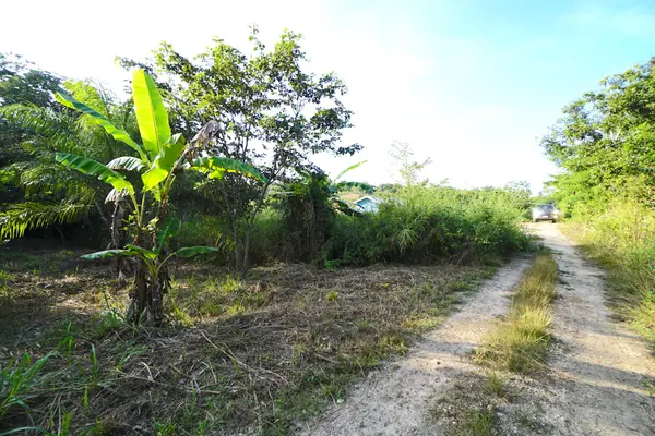 San Ignacio, Cayo,