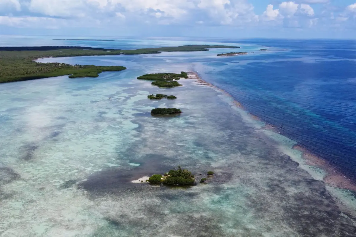 Grassy Caye Range, Turneffe Atoll,