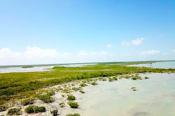 Sarteneja, Corozal,