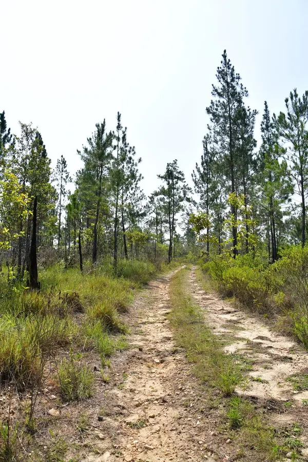 Little Vaqueros Road, Mountain Pine Ridge,