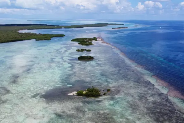 Grassy Caye Range, Turneffe Atoll,