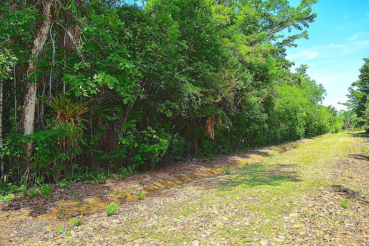 Camino Del Rio, Frank's Eddy Village,
