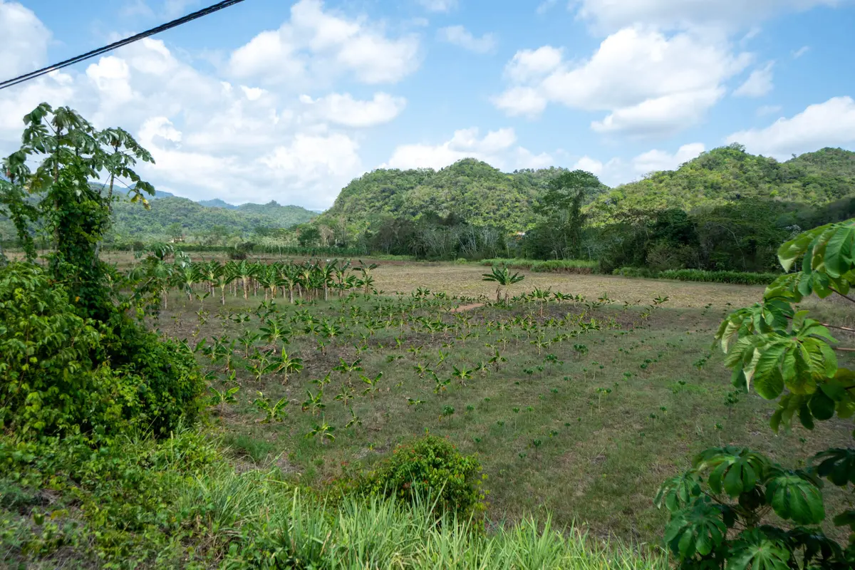 Sleeping Giant Rainforest Estates, Sibun River Valley Cayo,
