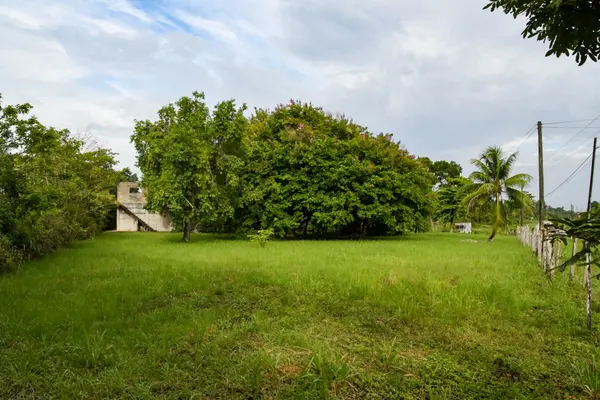 Mile 14, Southern Highway, Marcos, Toledo