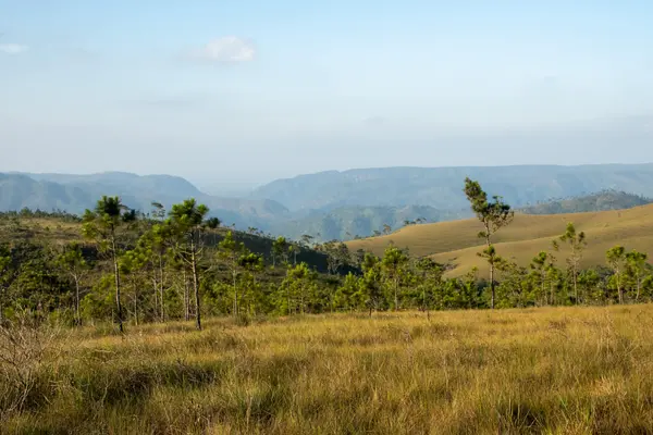 Mountain Pine Ridge, Cayo,