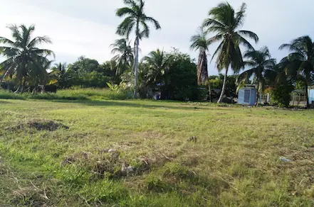 West of Consejo Road, Altamira,
