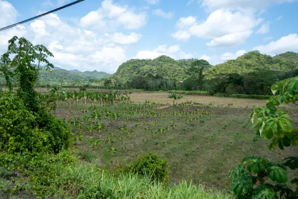 Sleeping Giant Rainforest Estates, Sibun River Valley Cayo,