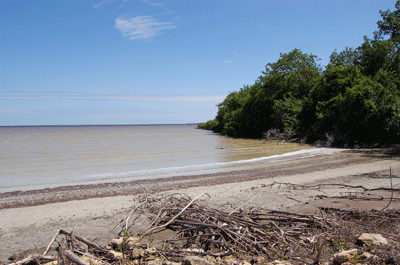 Progresso, Corozal,