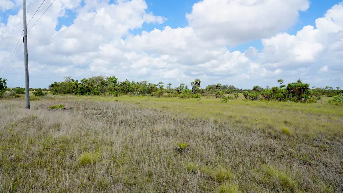 Hattieville, Belize,