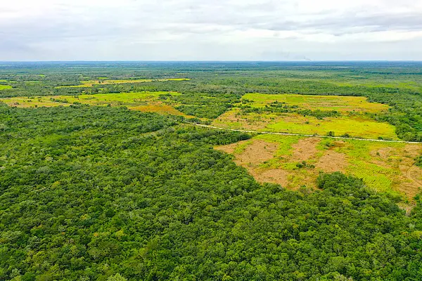 Copper Bank, Saltillo, Belize