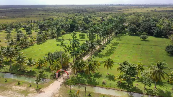13.5 Mls George Price Highway, Tropical Park,