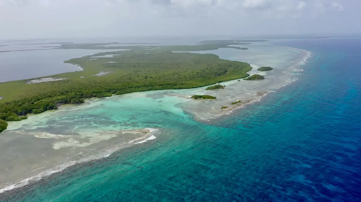 Deadman Caye Area, Turneffe Islands, Reef