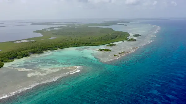 Deadman Caye Area, Turneffe Islands, Reef