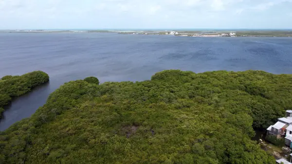 North of Rio De San Pedro', San Pedro, Caye